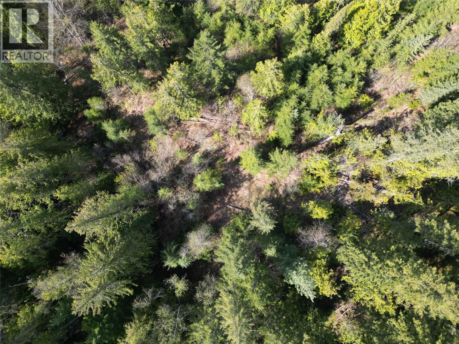 1918 Camozzi Road, Revelstoke, British Columbia  V0E 2S0 - Photo 16 - 10376577