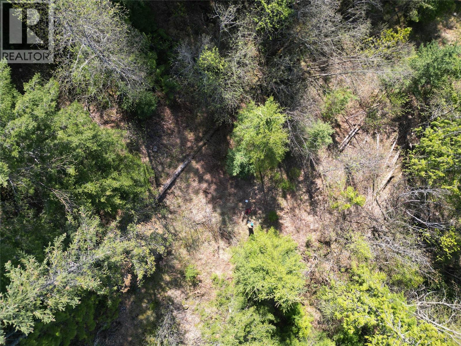 1918 Camozzi Road, Revelstoke, British Columbia  V0E 2S0 - Photo 17 - 10376577