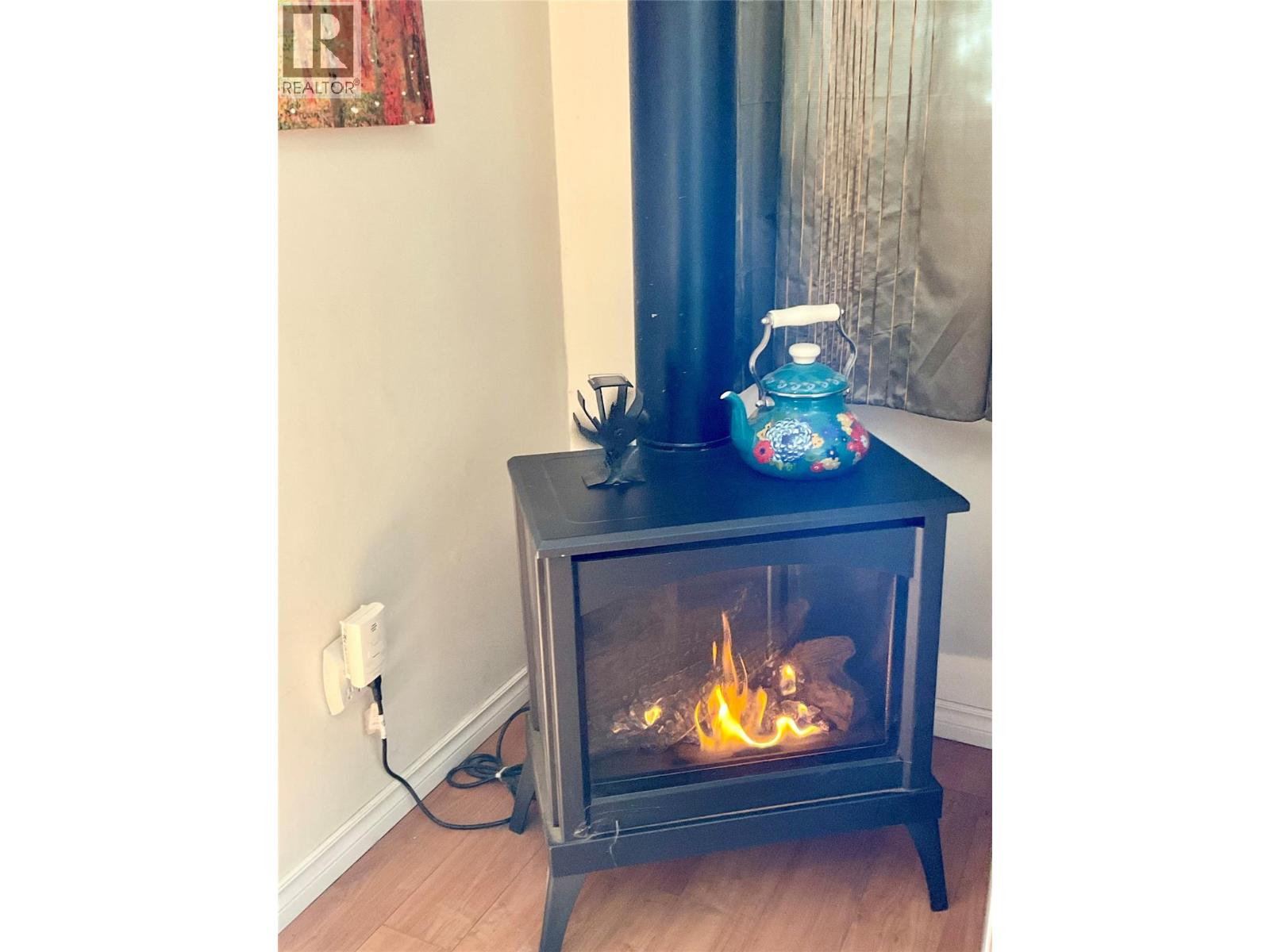 601 Government Avenue N, Greenwood, British Columbia  V0H 1J0 - Photo 19 - 10376751