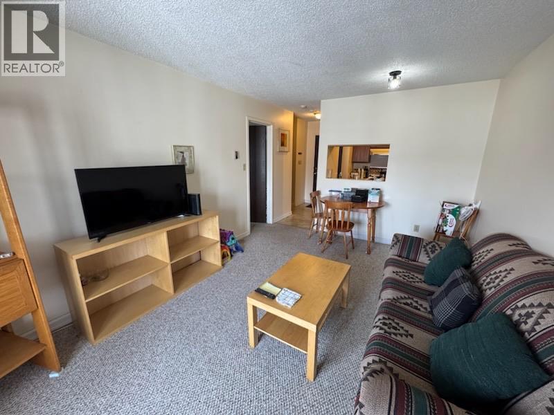 1335 Alpine Drive Unit# 209b, Elkford, British Columbia  V0B 1H0 - Photo 4 - 10376528