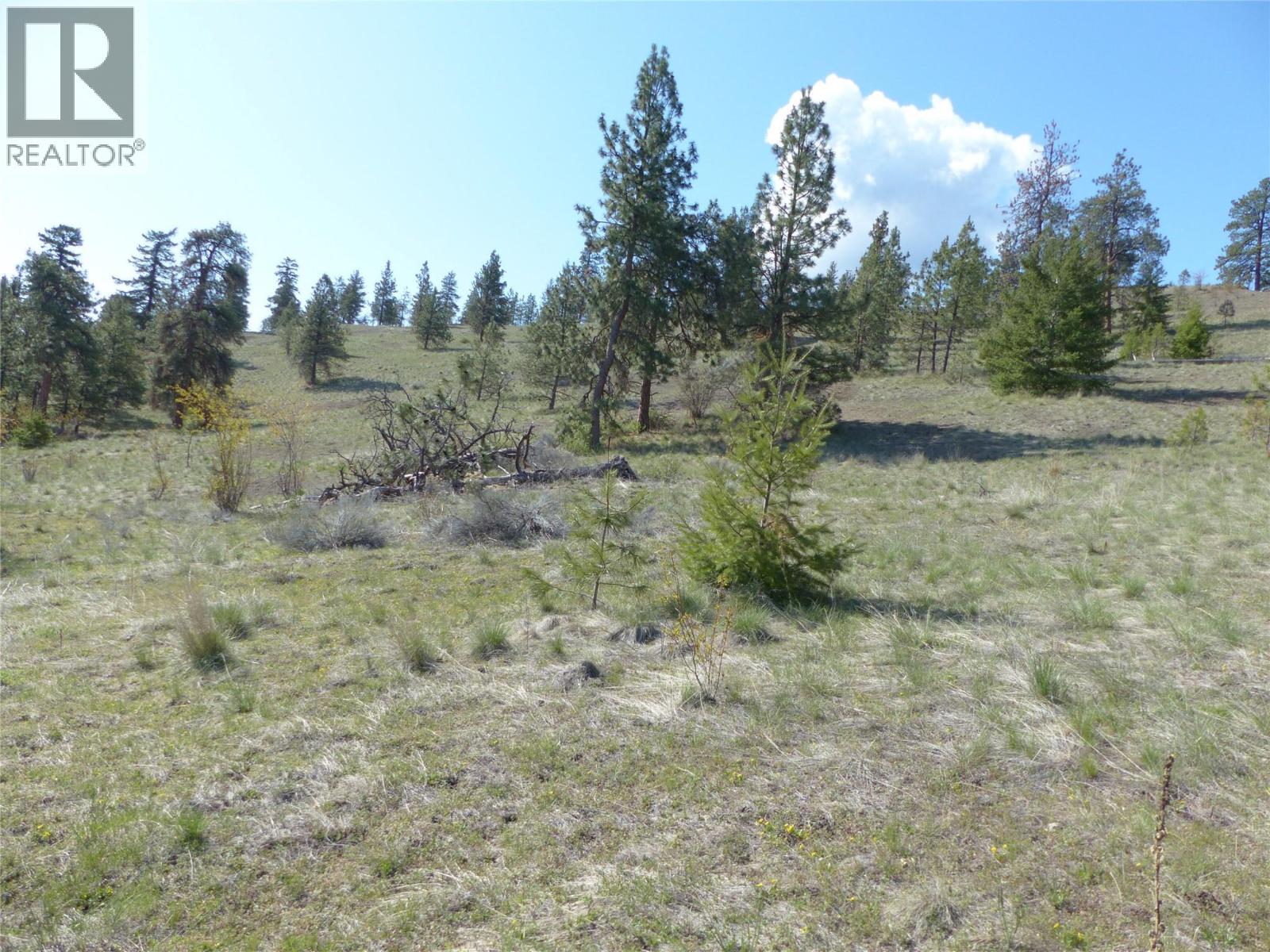 8900 Gilman Road, Summerland, British Columbia  V0H 1Z2 - Photo 15 - 10376897