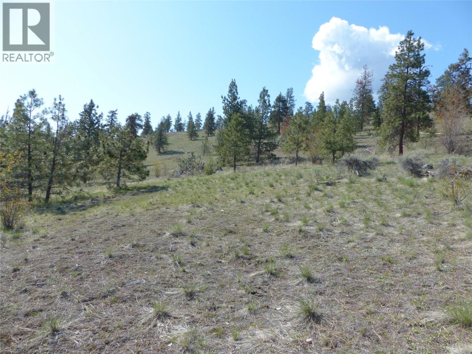 8900 Gilman Road, Summerland, British Columbia  V0H 1Z2 - Photo 17 - 10376897