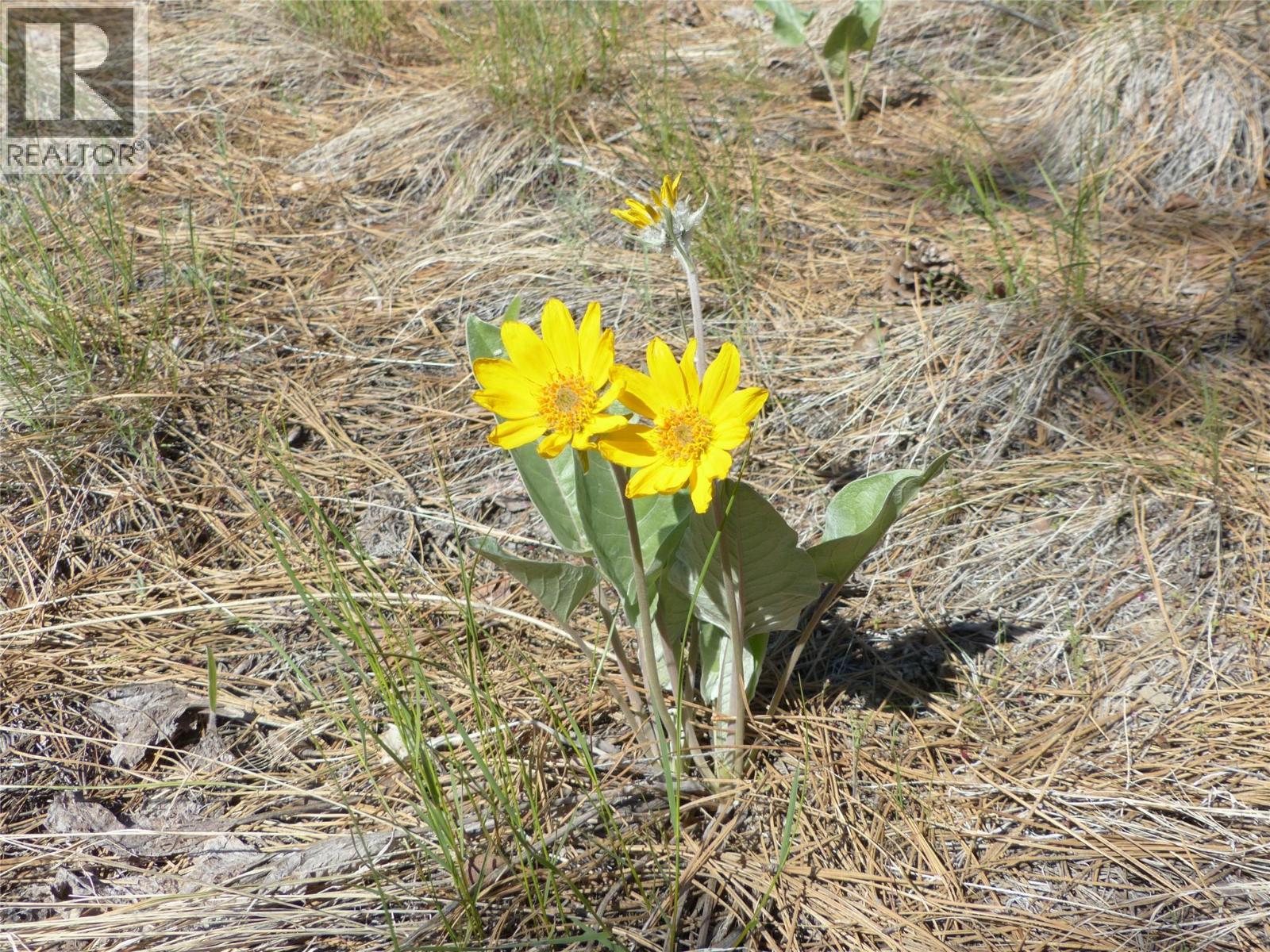 8900 Gilman Road, Summerland, British Columbia  V0H 1Z2 - Photo 24 - 10376897