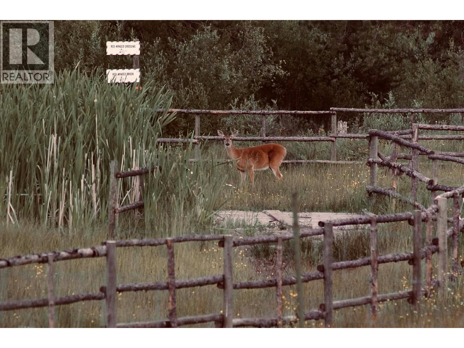 2120 Fish Lake Road, Rock Creek, British Columbia  V0H 1Y0 - Photo 41 - 10376872