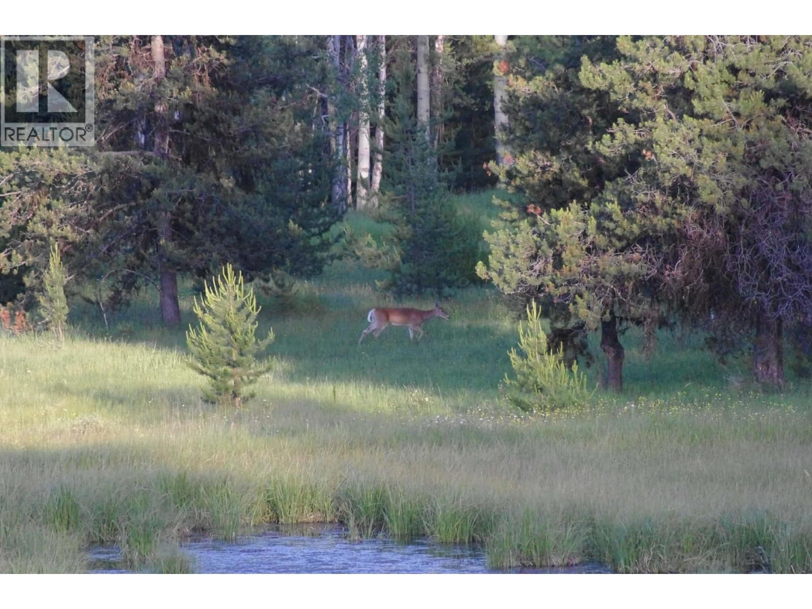 2120 Fish Lake Road, Rock Creek, British Columbia  V0H 1Y0 - Photo 8 - 10376872