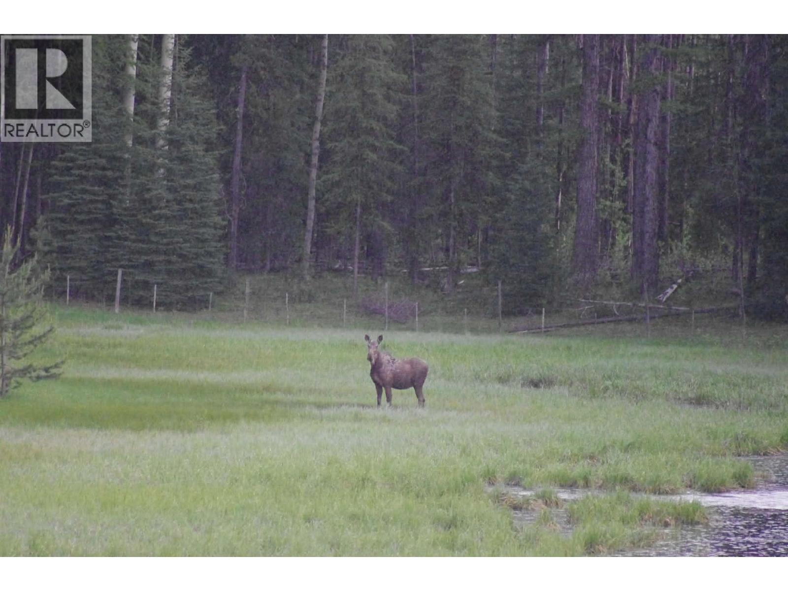 2120 Fish Lake Road, Rock Creek, British Columbia  V0H 1Y0 - Photo 80 - 10376872