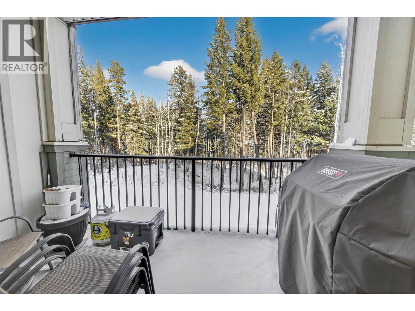 1330 Whitewood Crescent Unit# 205, Sparwood, British Columbia  V0B 2G2 - Photo 16 - 10376957