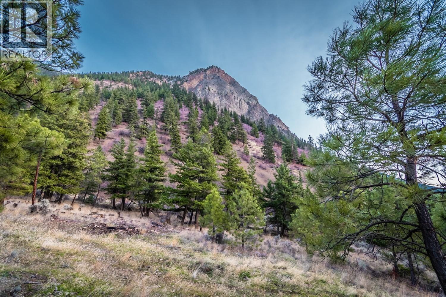 4142 99 Hwy N Road N, Lillooet, British Columbia  V0K 1V0 - Photo 35 - 10376770