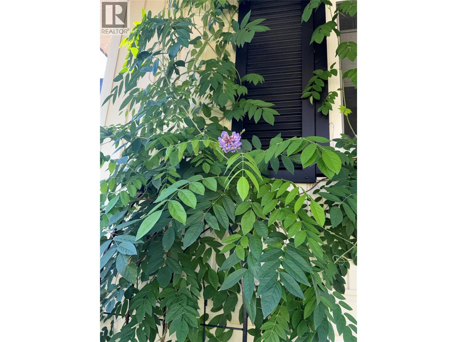 3130 Iris Crescent, Trail, British Columbia  V1R 2Y7 - Photo 31 - 10376790