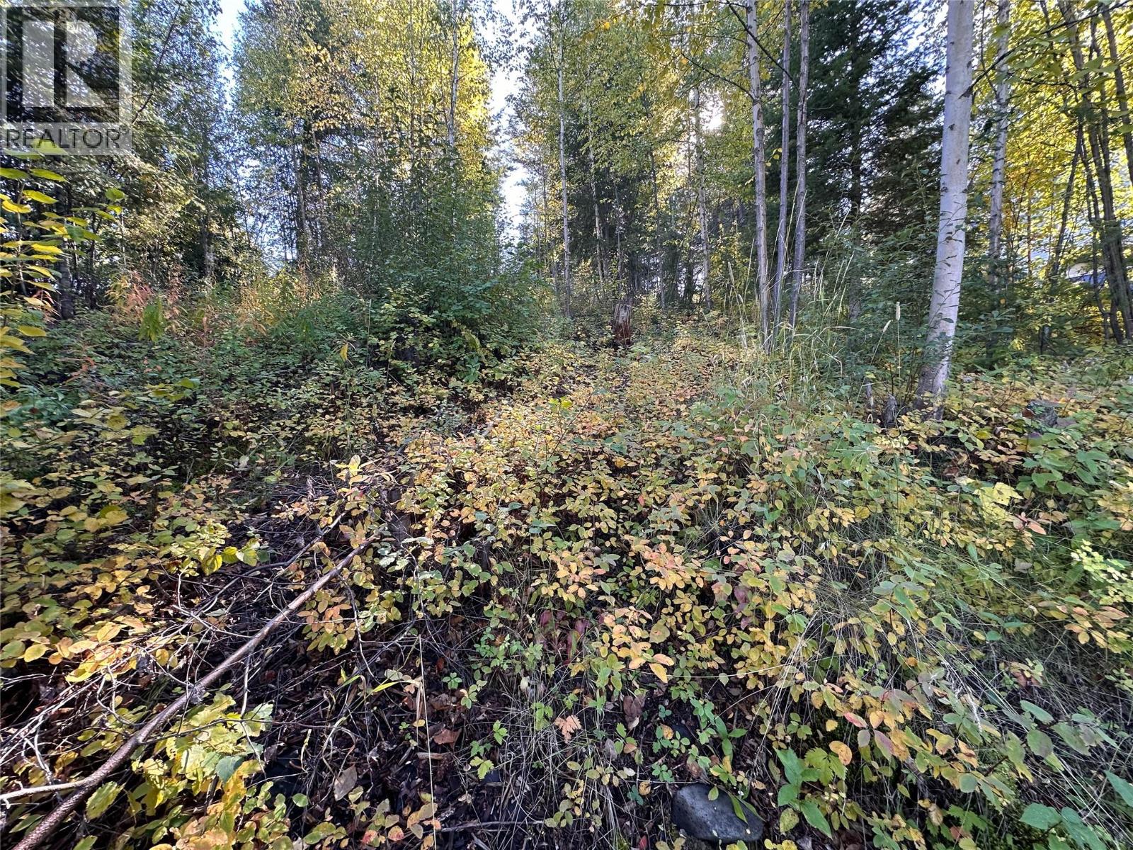 3380 Mcgregor Road, Kamloops, British Columbia  V0E 3E1 - Photo 10 - 10376938