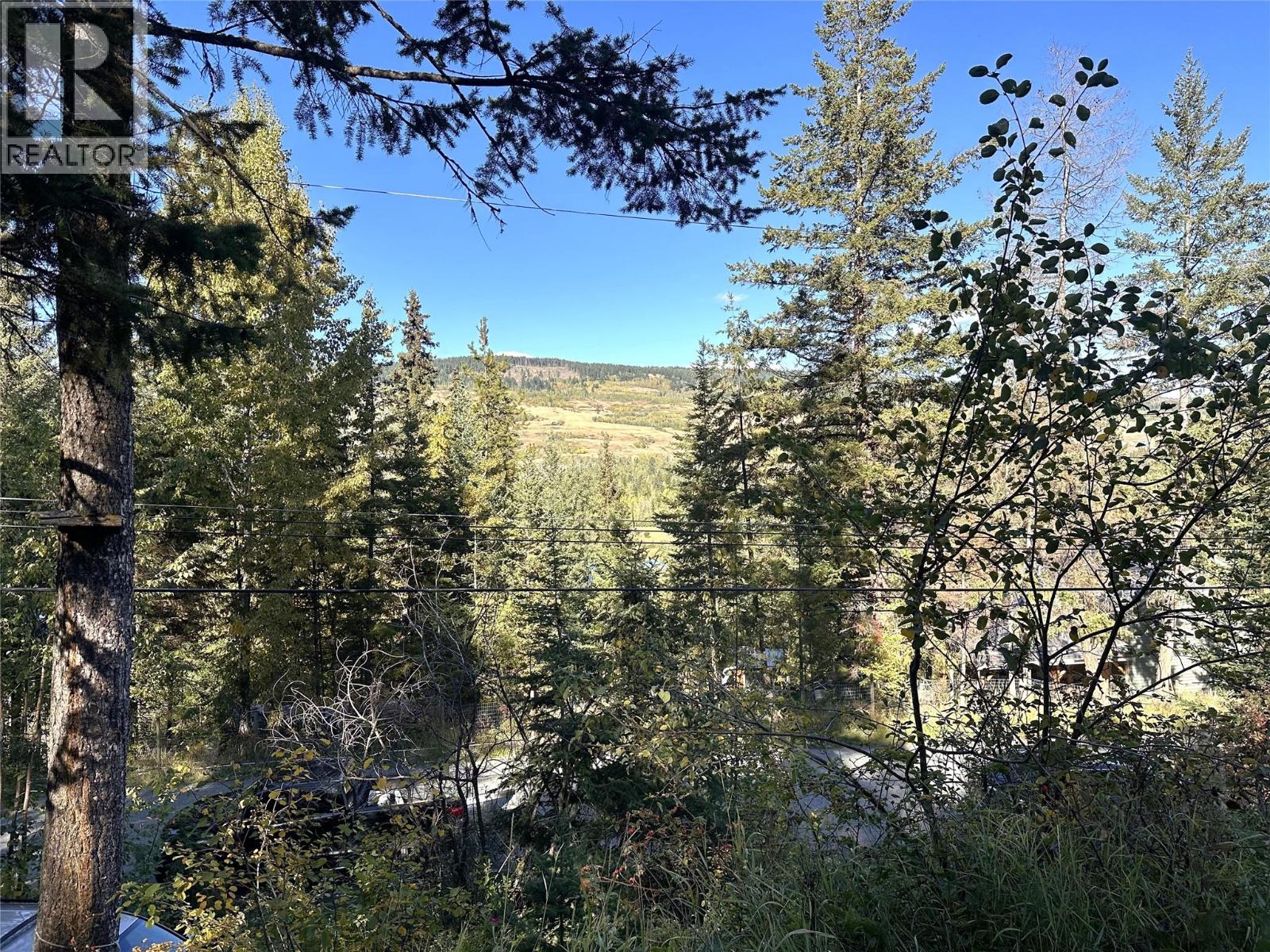 3380 Mcgregor Road, Kamloops, British Columbia  V0E 3E1 - Photo 14 - 10376938