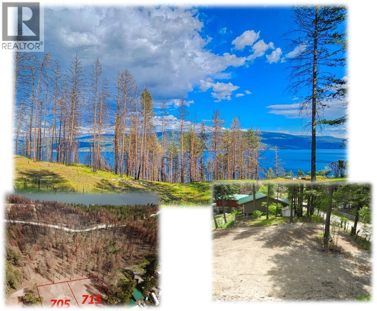 715 Udell Road, Vernon, British Columbia  V1H 2E3 - Photo 1 - 10376777