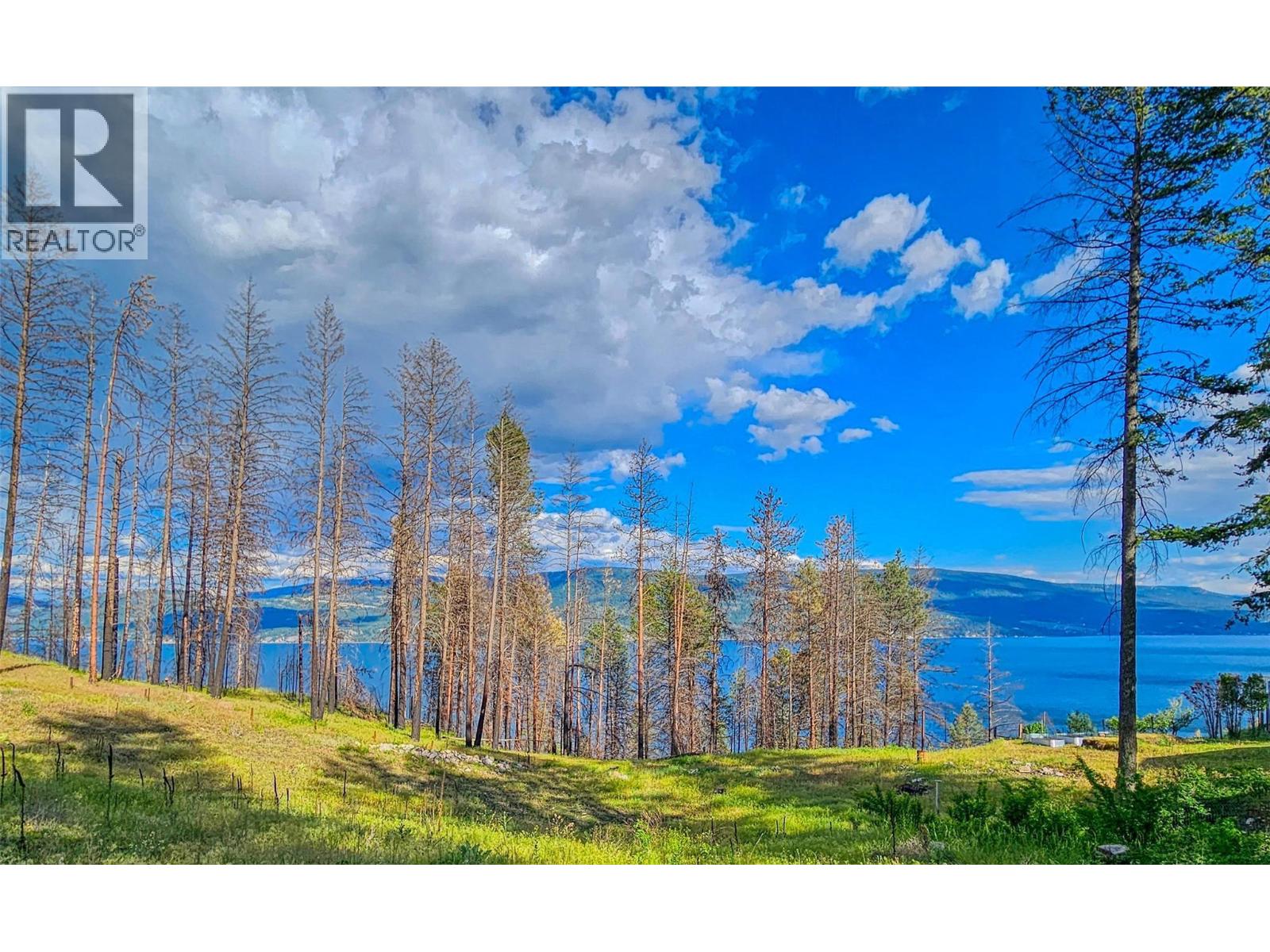 715 Udell Road, Vernon, British Columbia  V1H 2E3 - Photo 4 - 10376777