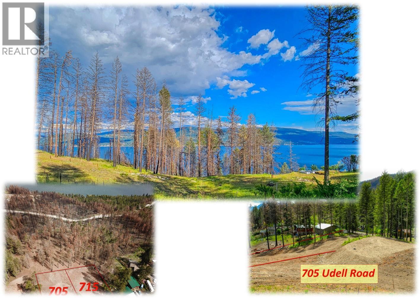 705 Udell Road, Vernon, British Columbia  V1H 2E3 - Photo 1 - 10376772