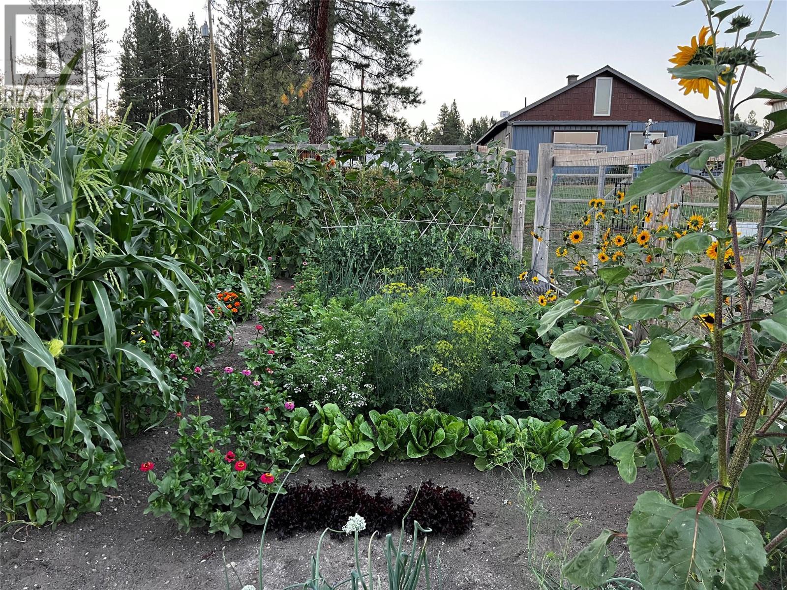 505 Chief David Road, Baynes Lake, British Columbia  V0B 1T4 - Photo 38 - 10377017