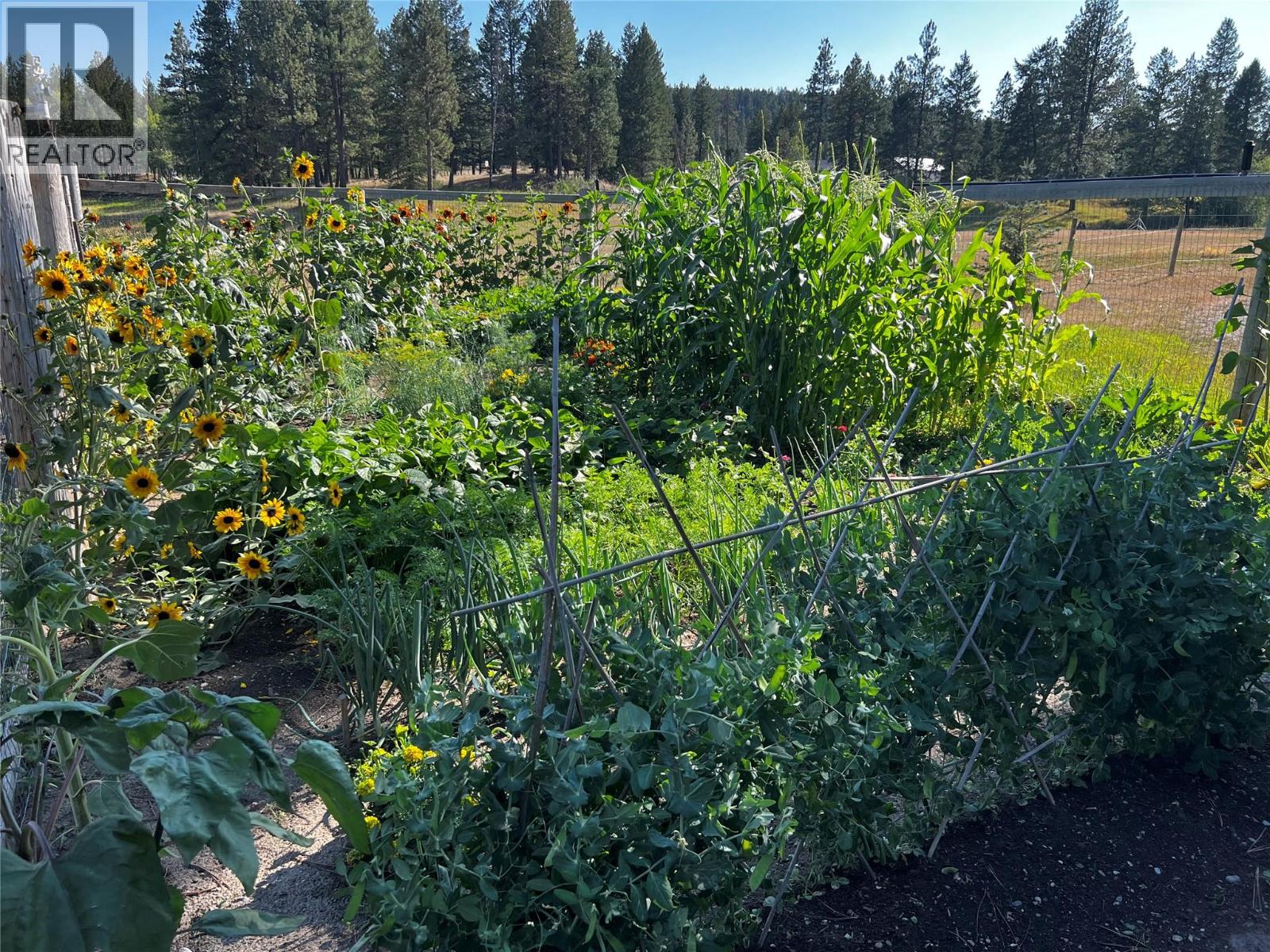 505 Chief David Road, Baynes Lake, British Columbia  V0B 1T4 - Photo 39 - 10377017