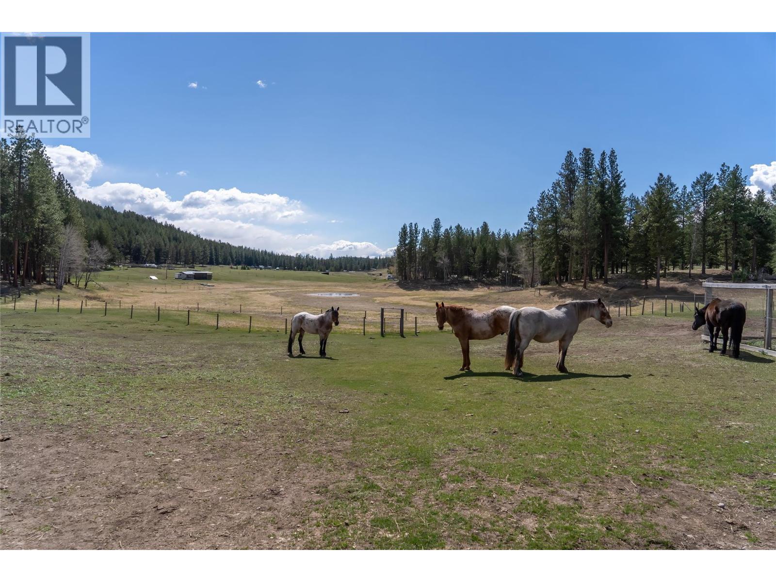 505 Chief David Road, Baynes Lake, British Columbia  V0B 1T4 - Photo 47 - 10377017