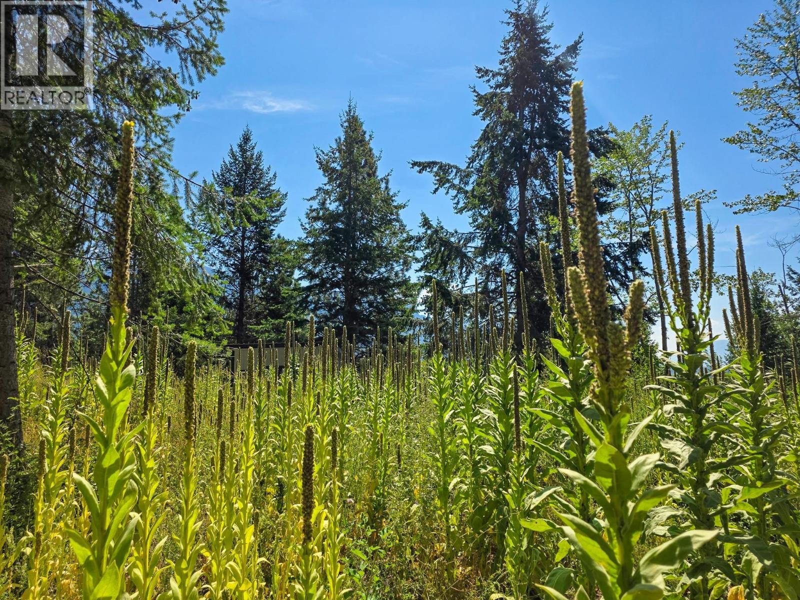 902 35  N Avenue, Erickson, British Columbia  V0B 1K0 - Photo 11 - 10377088