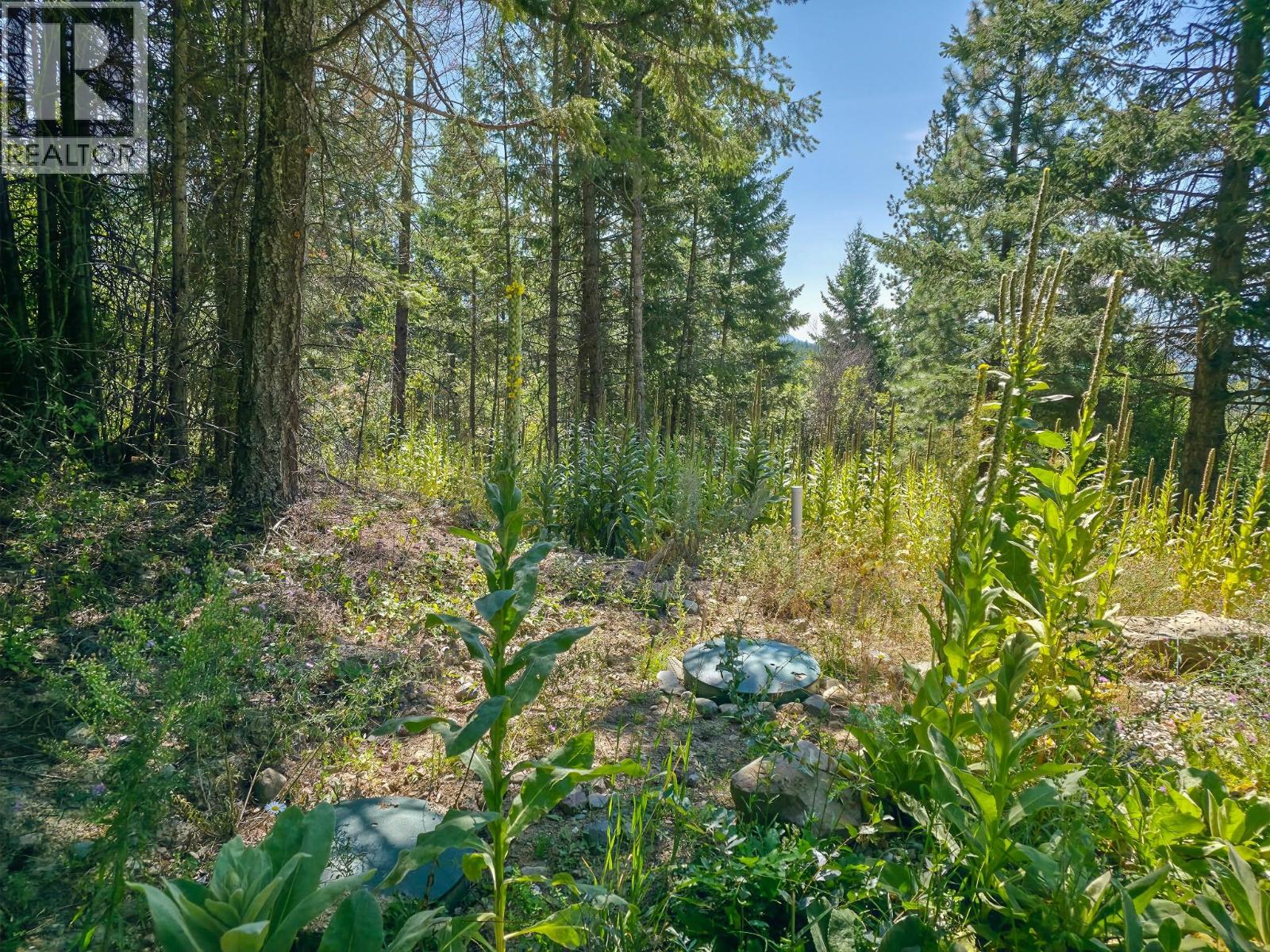 902 35  N Avenue, Erickson, British Columbia  V0B 1K0 - Photo 12 - 10377088