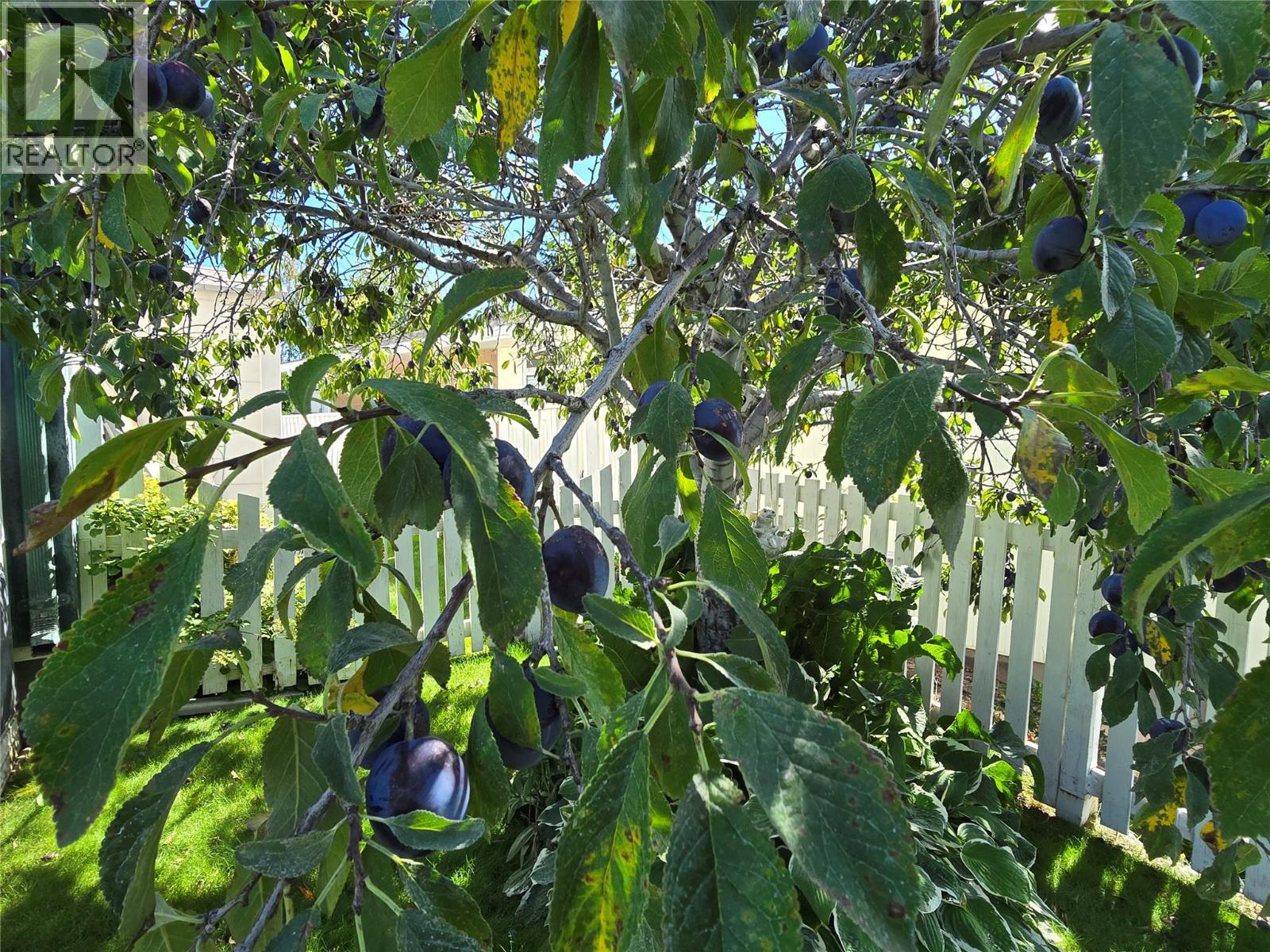 1526 Cumming Boulevard, Cache Creek, British Columbia  V0K 1H0 - Photo 37 - 10377149