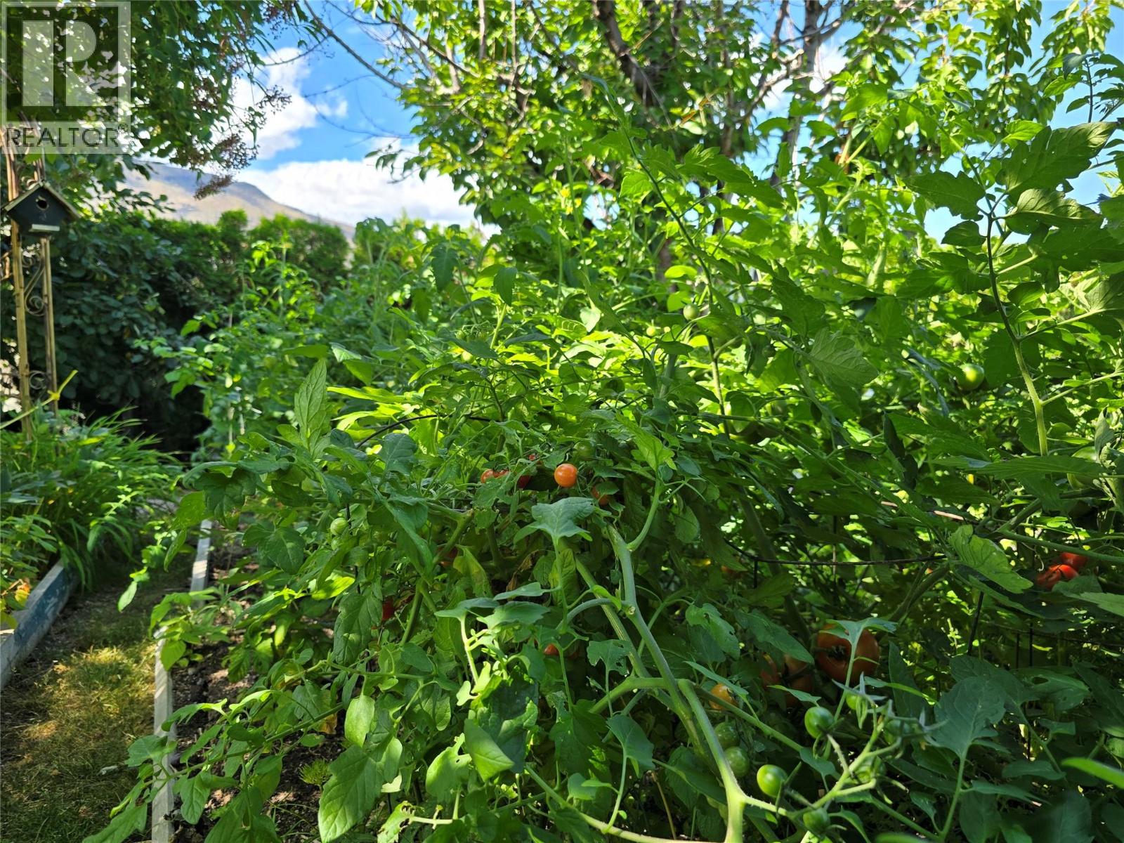 1526 Cumming Boulevard, Cache Creek, British Columbia  V0K 1H0 - Photo 39 - 10377149