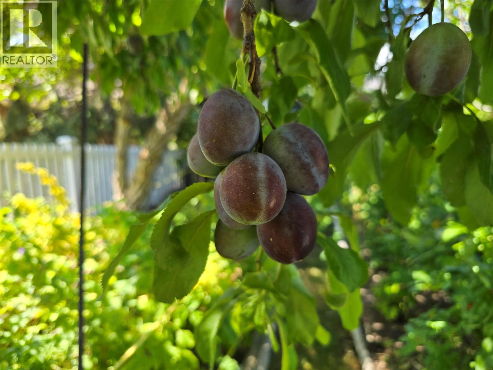 1526 Cumming Boulevard, Cache Creek, British Columbia  V0K 1H0 - Photo 40 - 10377149