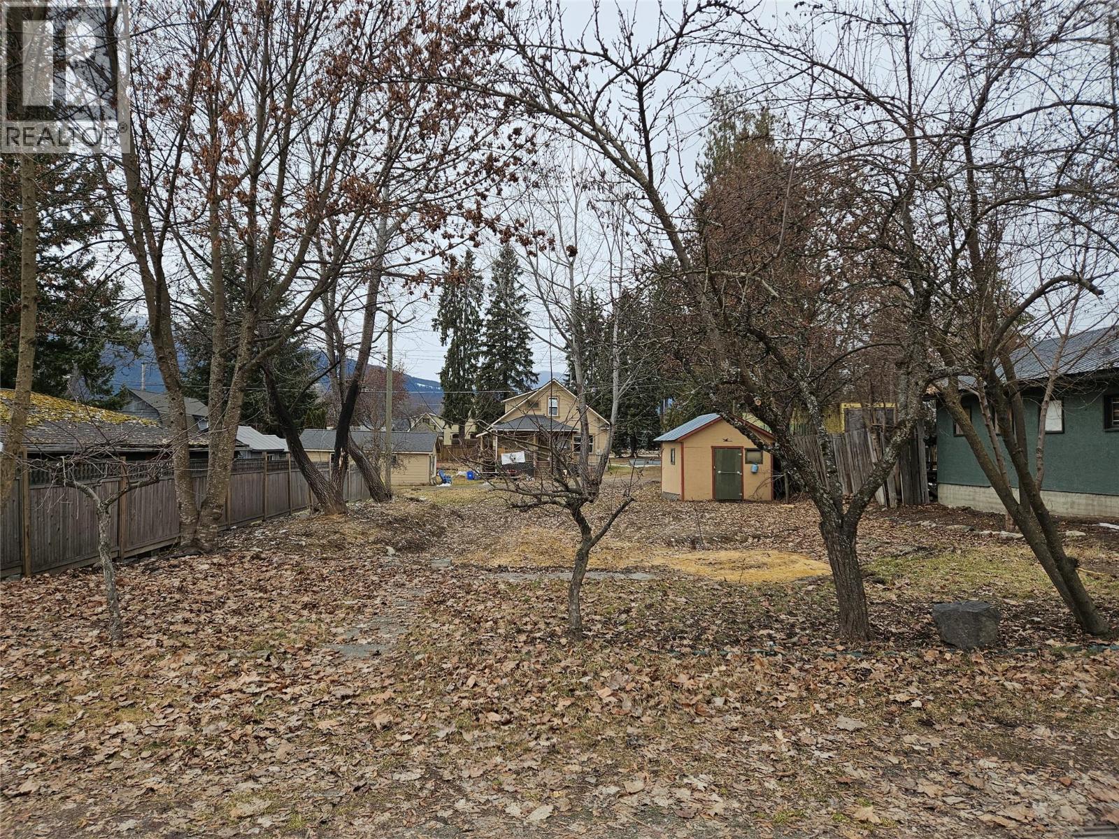 94 1st   Nw Avenue, Nakusp, British Columbia  V0G 1R0 - Photo 8 - 10377158