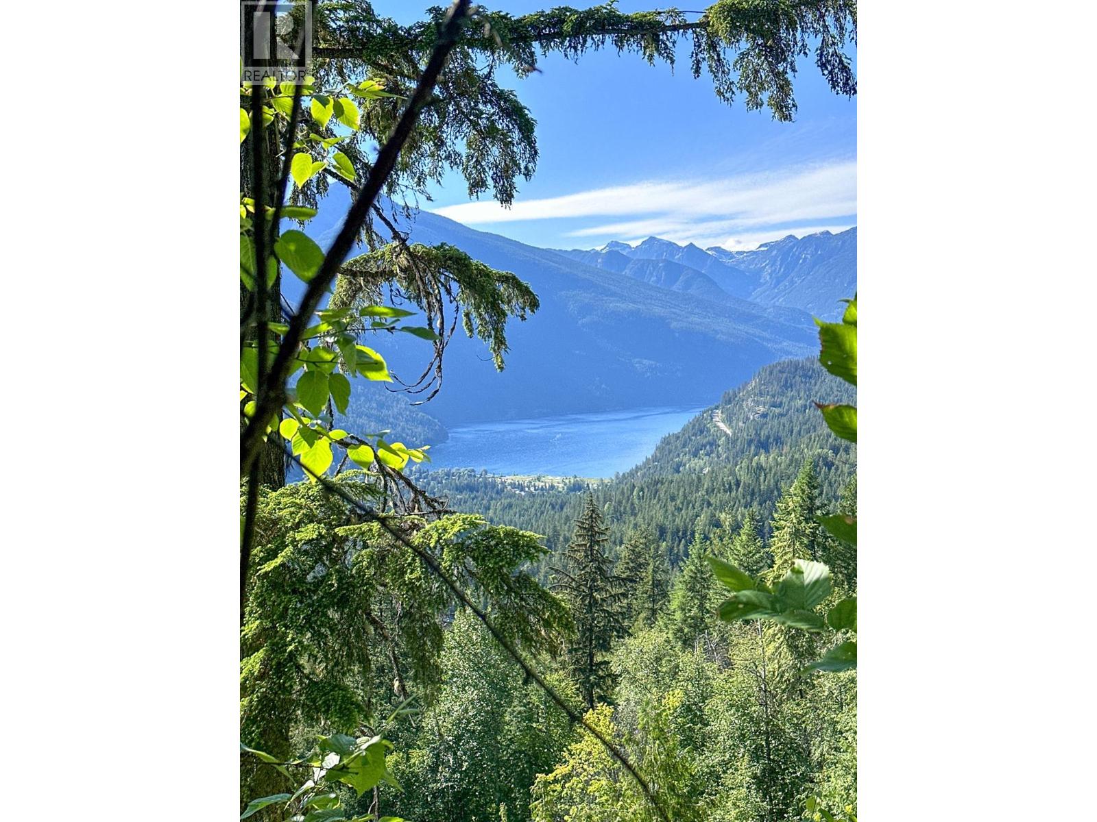 8907 Martens Road, Slocan, British Columbia  V1L 1C0 - Photo 74 - 10376982