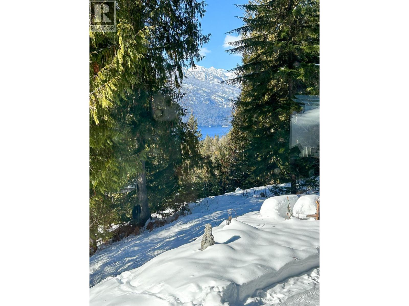 8907 Martens Road, Slocan, British Columbia  V1L 1C0 - Photo 78 - 10376982