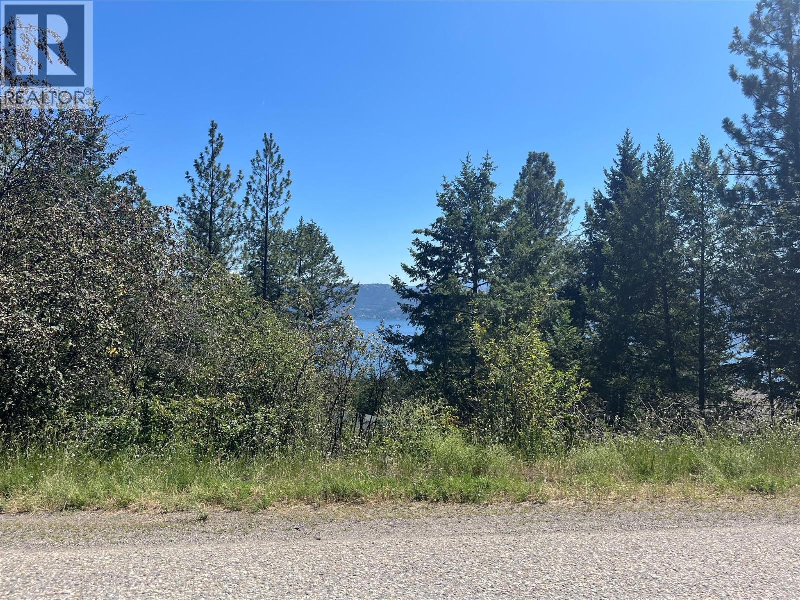 10523 Westshore Road, Vernon, British Columbia  V1H 2B2 - Photo 1 - 10376667