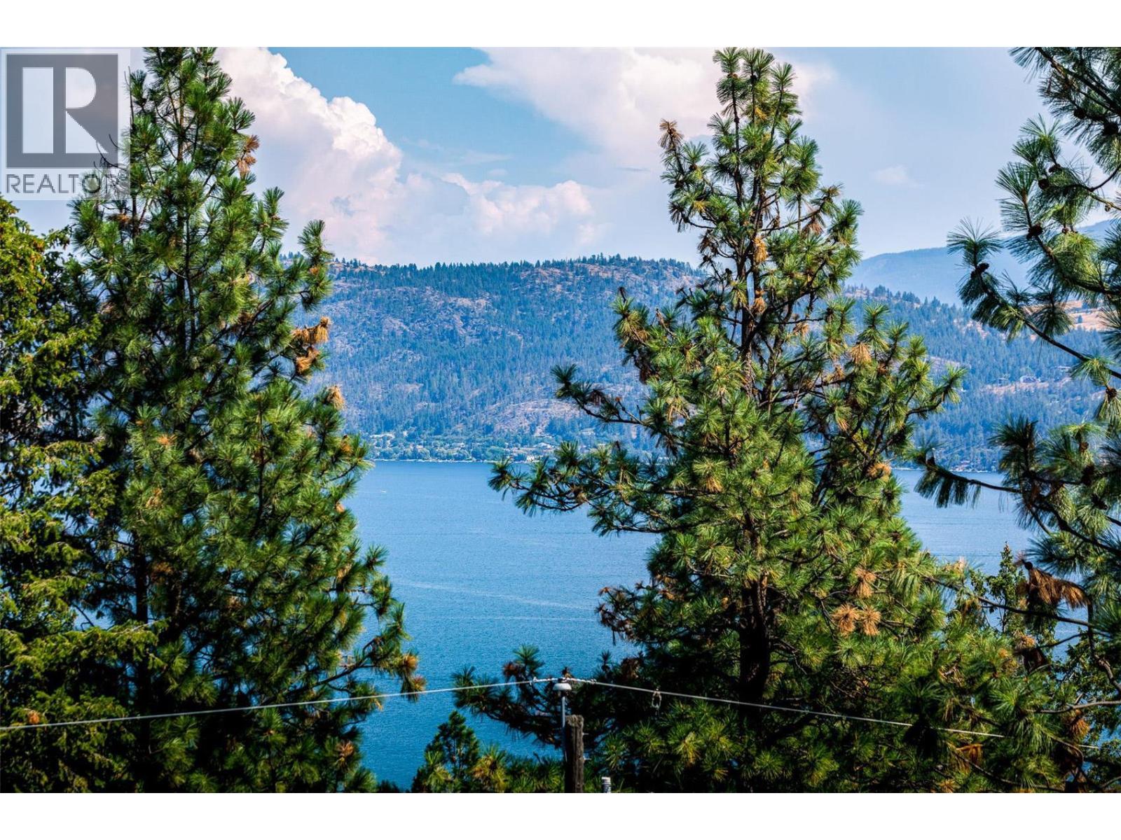 10523 Westshore Road, Vernon, British Columbia  V1H 2B2 - Photo 13 - 10376667