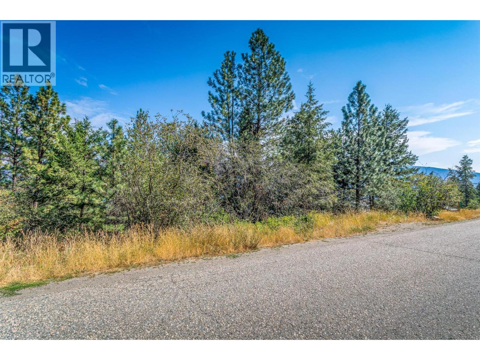 10523 Westshore Road, Vernon, British Columbia  V1H 2B2 - Photo 17 - 10376667