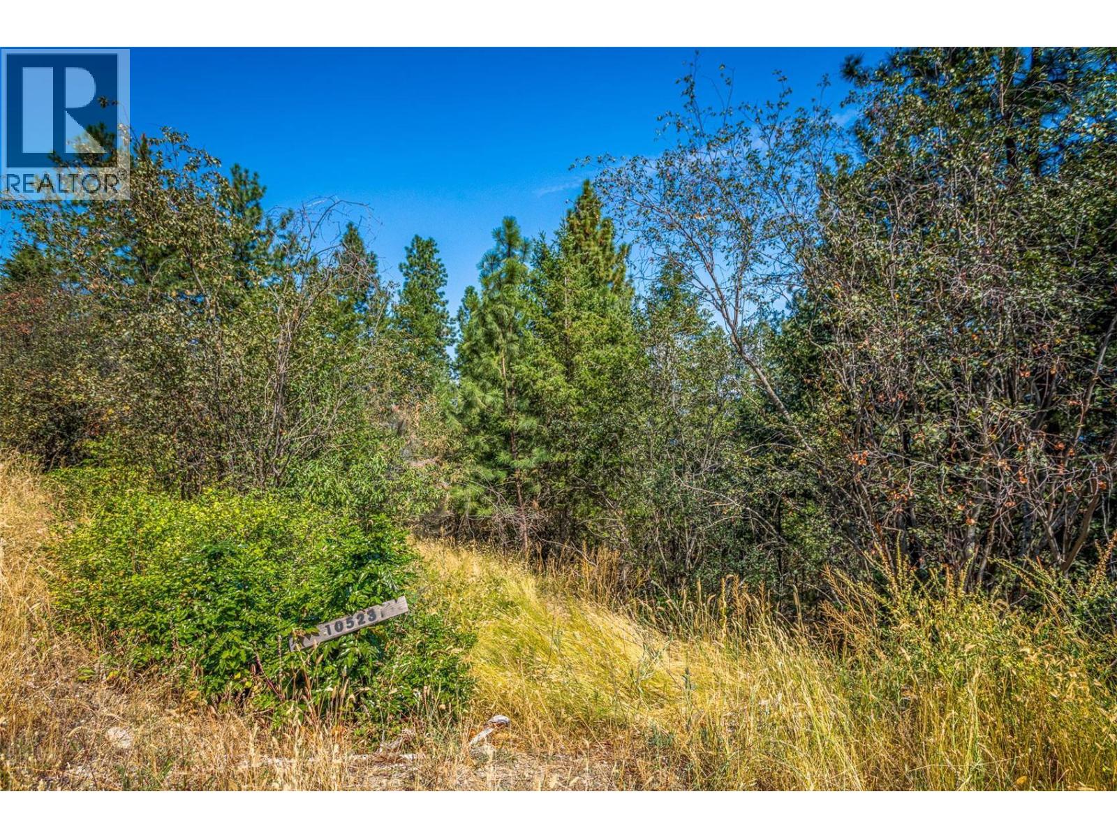 10523 Westshore Road, Vernon, British Columbia  V1H 2B2 - Photo 18 - 10376667