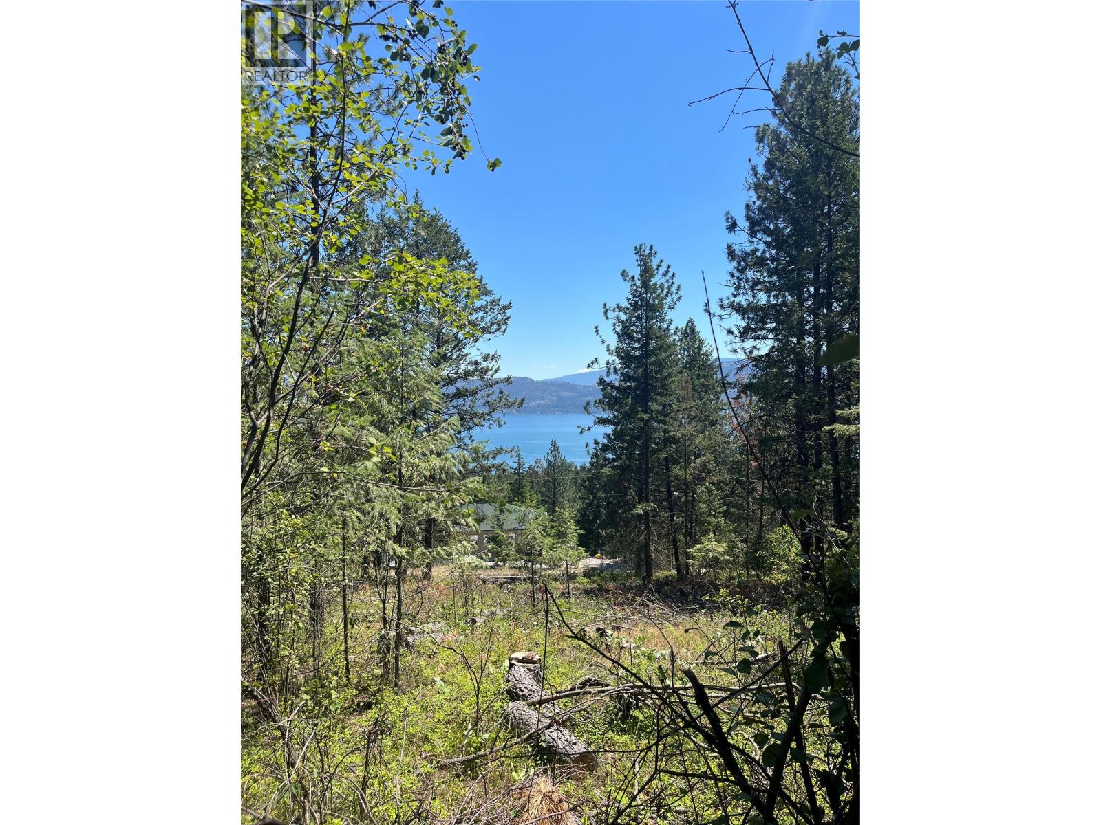 10523 Westshore Road, Vernon, British Columbia  V1H 2B2 - Photo 2 - 10376667