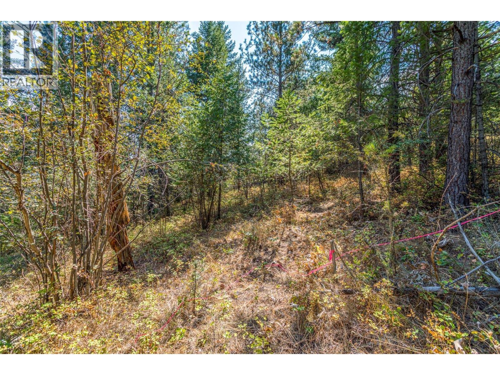 10523 Westshore Road, Vernon, British Columbia  V1H 2B2 - Photo 21 - 10376667