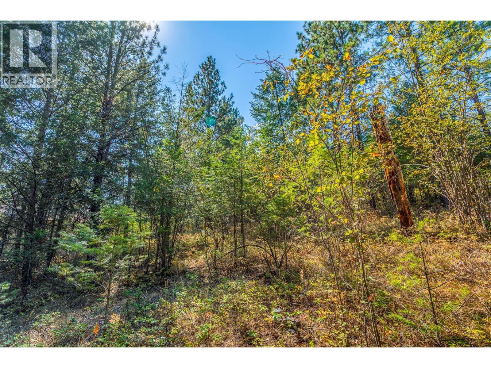 10523 Westshore Road, Vernon, British Columbia  V1H 2B2 - Photo 22 - 10376667