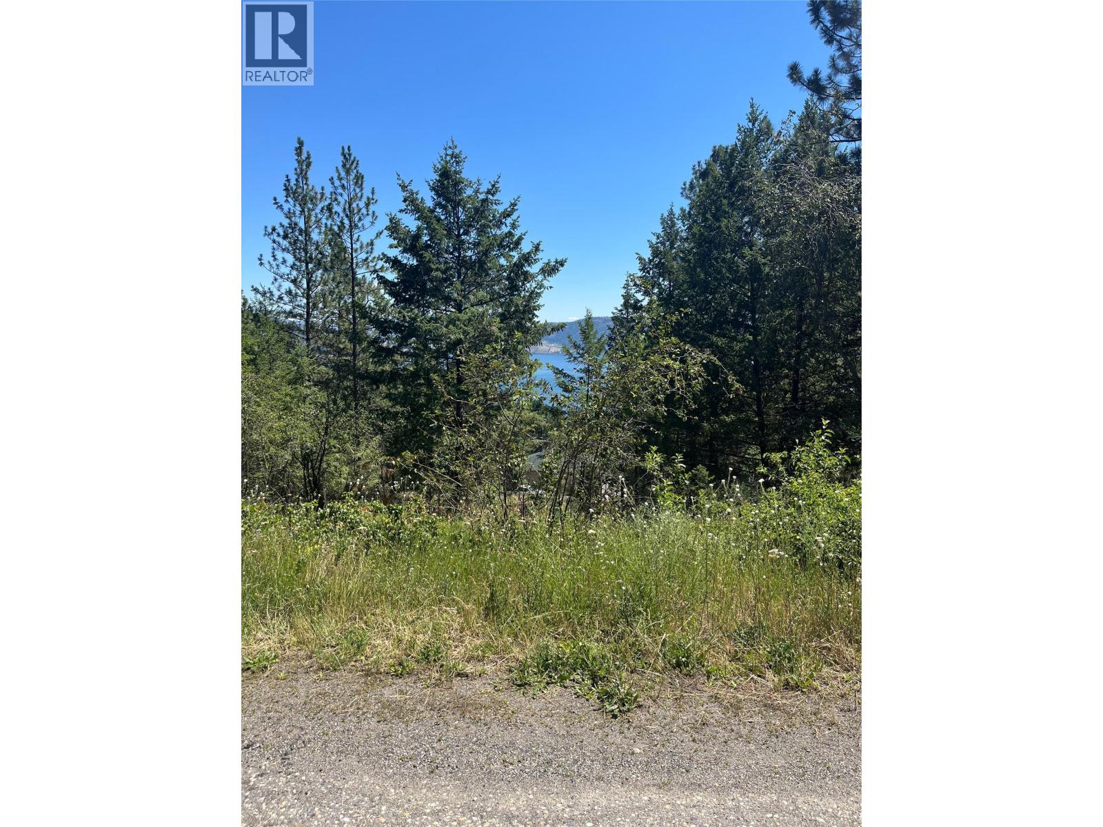 10523 Westshore Road, Vernon, British Columbia  V1H 2B2 - Photo 42 - 10376667