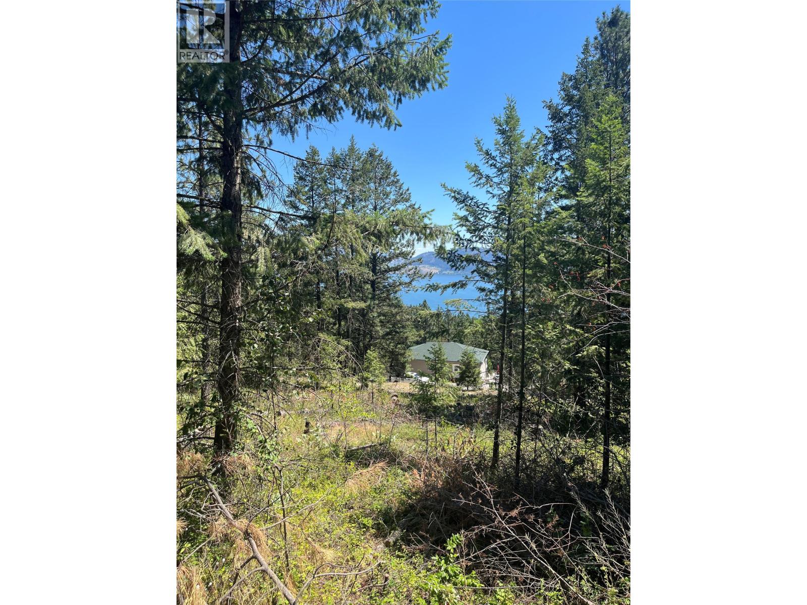 10523 Westshore Road, Vernon, British Columbia  V1H 2B2 - Photo 5 - 10376667