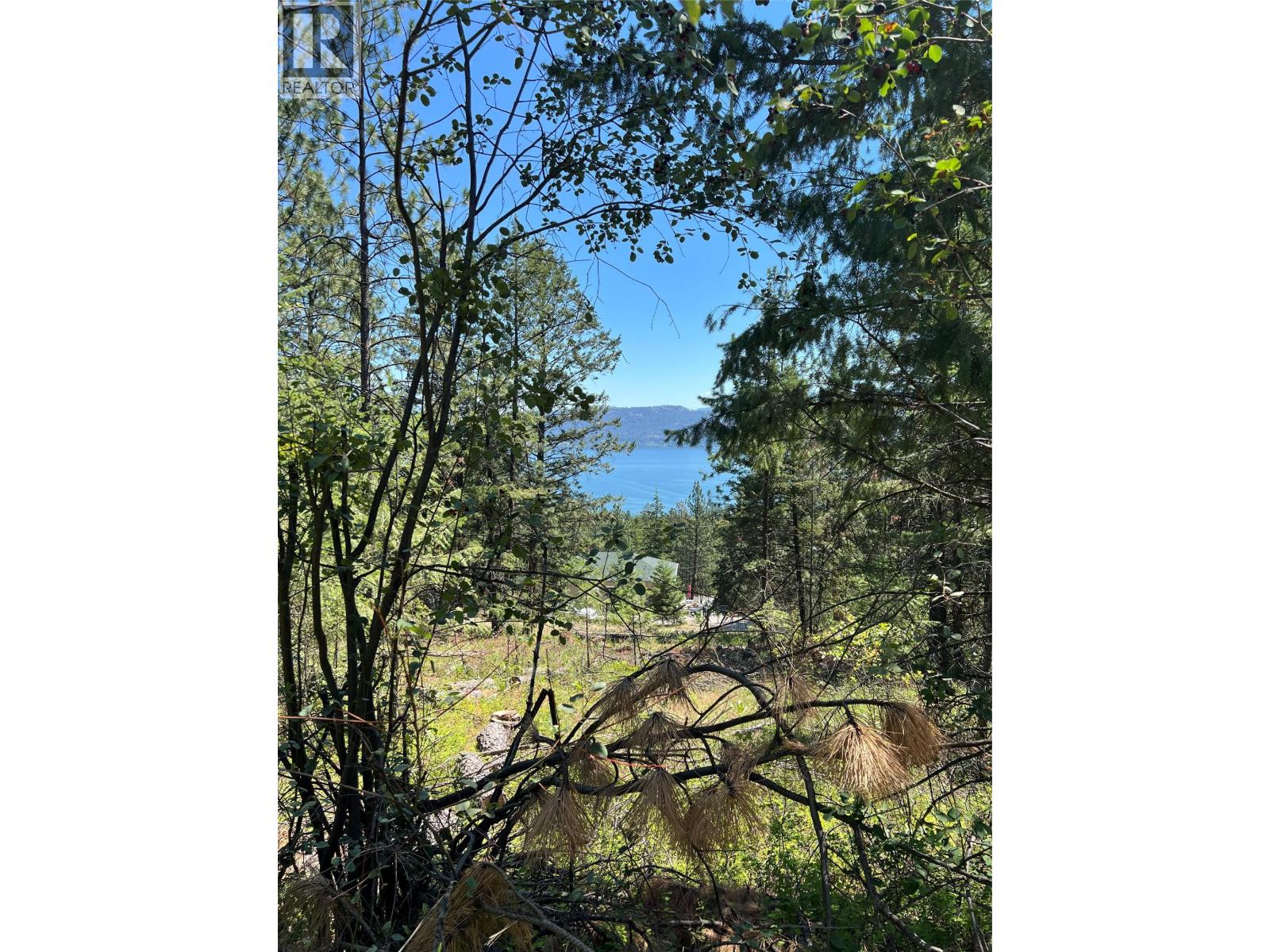 10523 Westshore Road, Vernon, British Columbia  V1H 2B2 - Photo 8 - 10376667