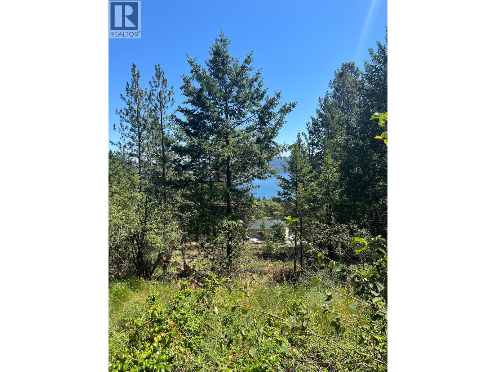 10523 Westshore Road, Vernon, British Columbia  V1H 2B2 - Photo 9 - 10376667