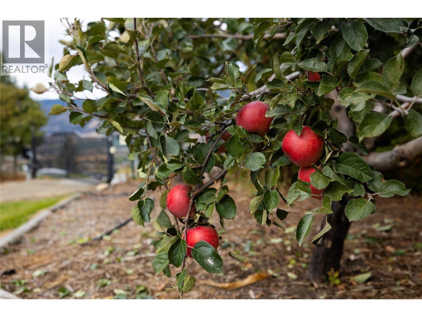 5432 Rochdell Road, Coldstream, British Columbia  V1B 3E8 - Photo 57 - 10376810