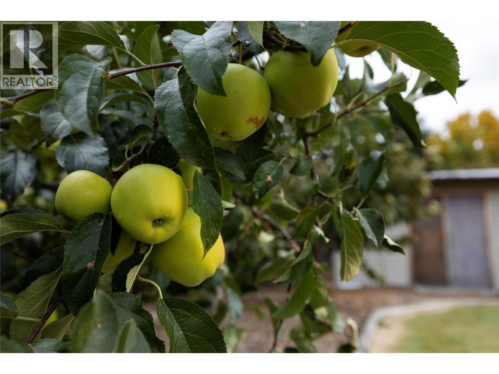 5432 Rochdell Road, Coldstream, British Columbia  V1B 3E8 - Photo 58 - 10376810