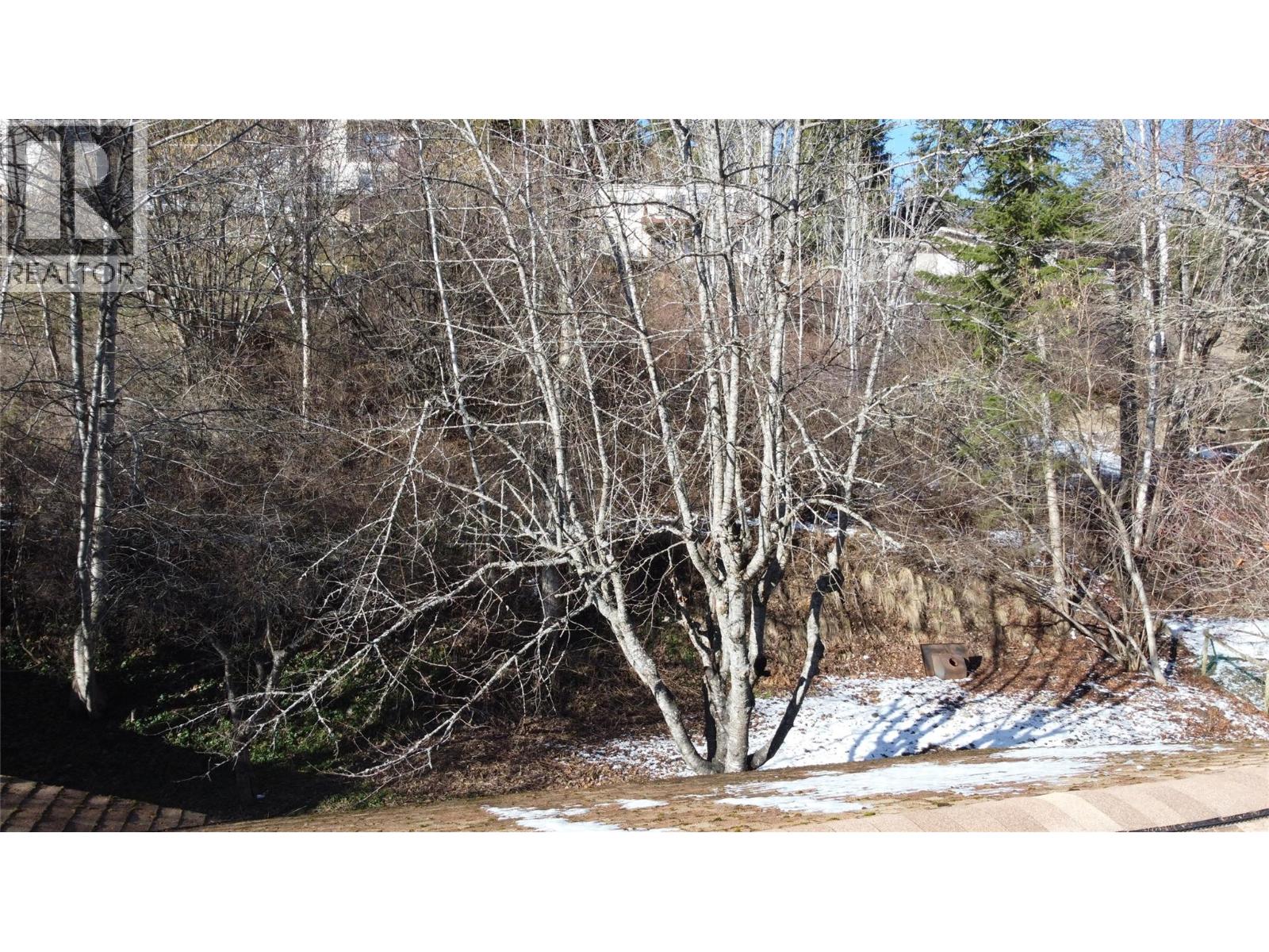 7761 3a Highway, Balfour, British Columbia  V0G 1C0 - Photo 8 - 10376726