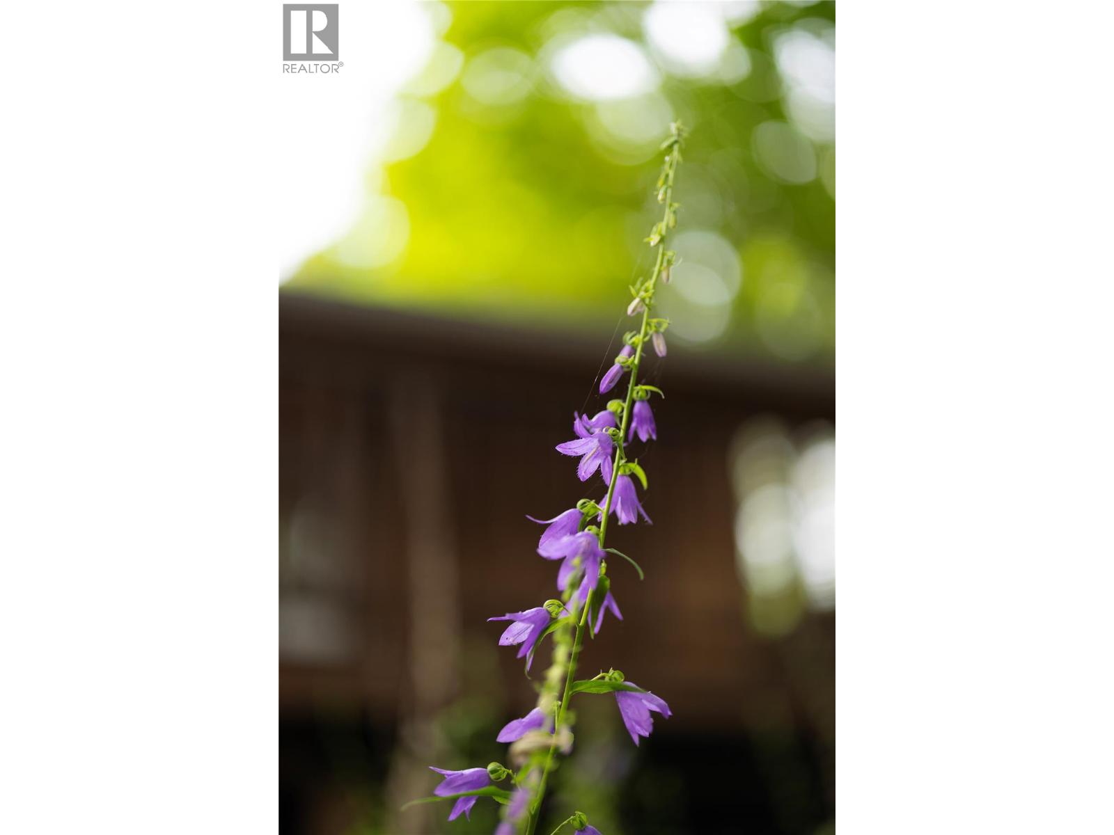 3408 34 Avenue, Vernon, British Columbia  V1T 2P9 - Photo 26 - 10377263