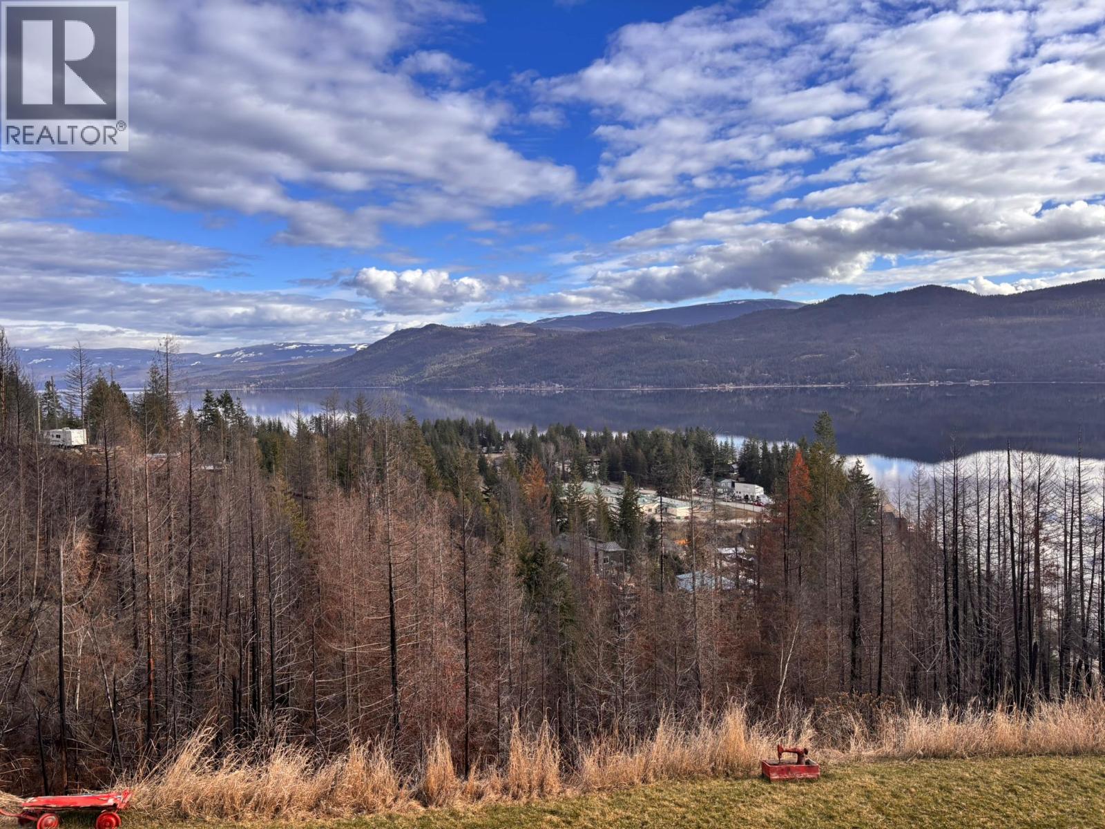5208 Celista Place, Celista, British Columbia  V0E 1M6 - Photo 11 - 10377325