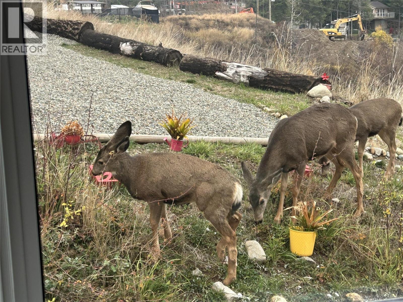 5208 Celista Place, Celista, British Columbia  V0E 1M6 - Photo 5 - 10377325