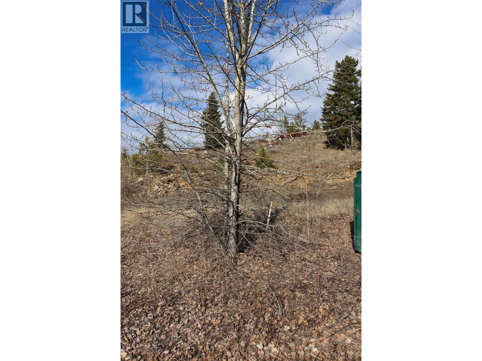 2633 Squilax Anglemont Road Unit# 151, Lee Creek, British Columbia  V0E 1M4 - Photo 9 - 10377178