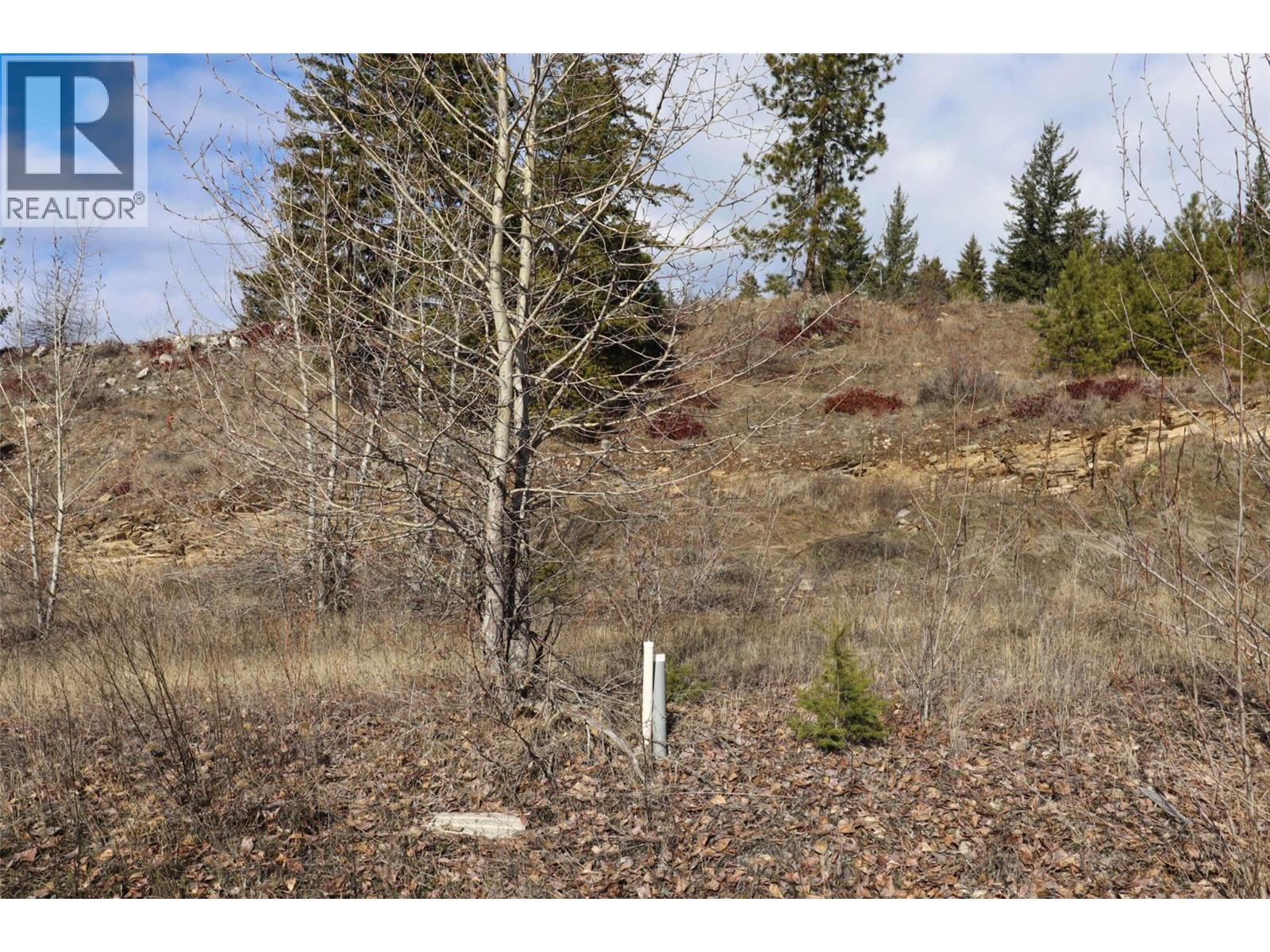 2633 Squilax Anglemont Road Unit# 149, Lee Creek, British Columbia  V0E 1M4 - Photo 2 - 10376990