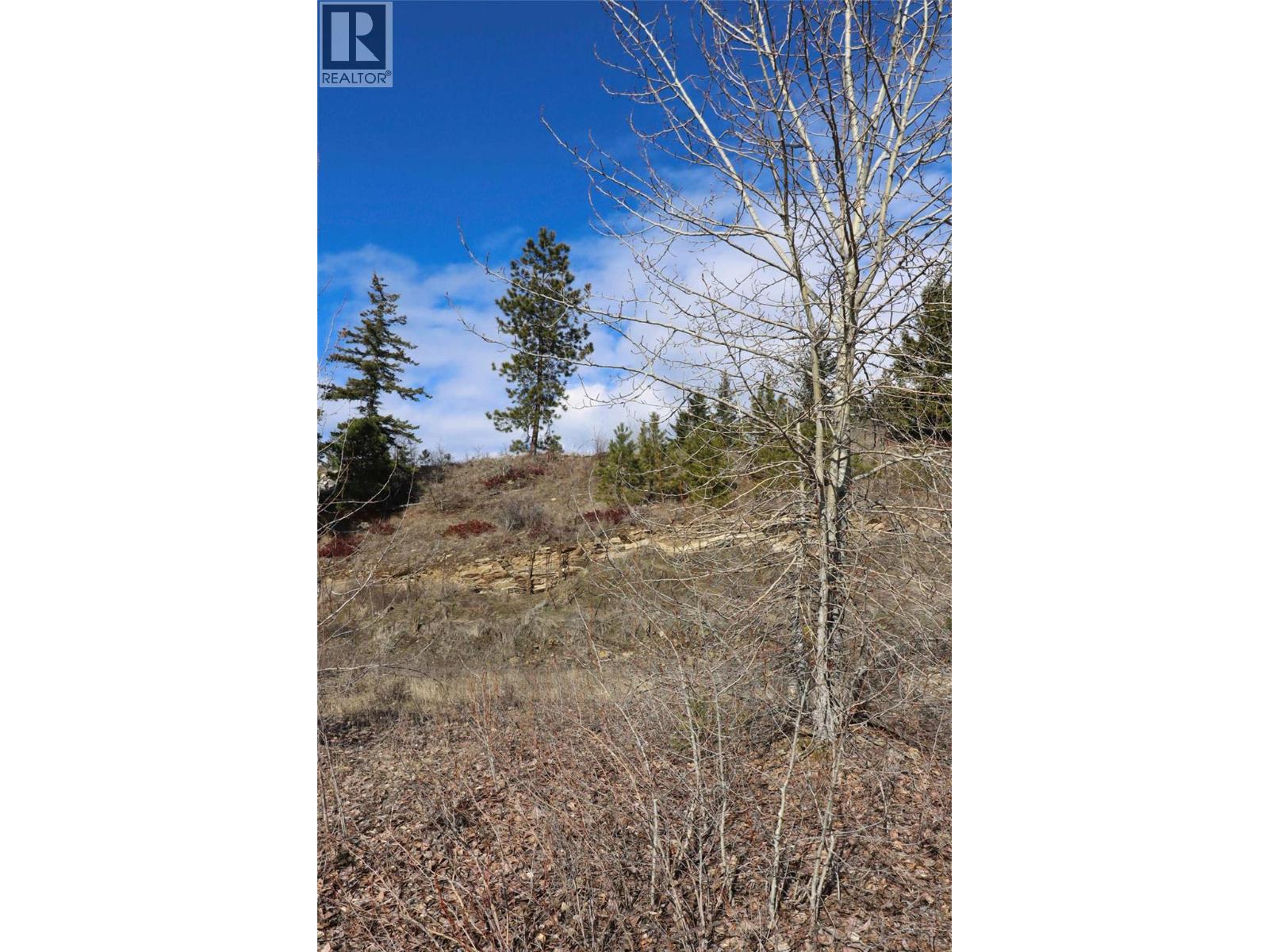 2633 Squilax Anglemont Road Unit# 148, Lee Creek, British Columbia  V0E 1M4 - Photo 9 - 10376988