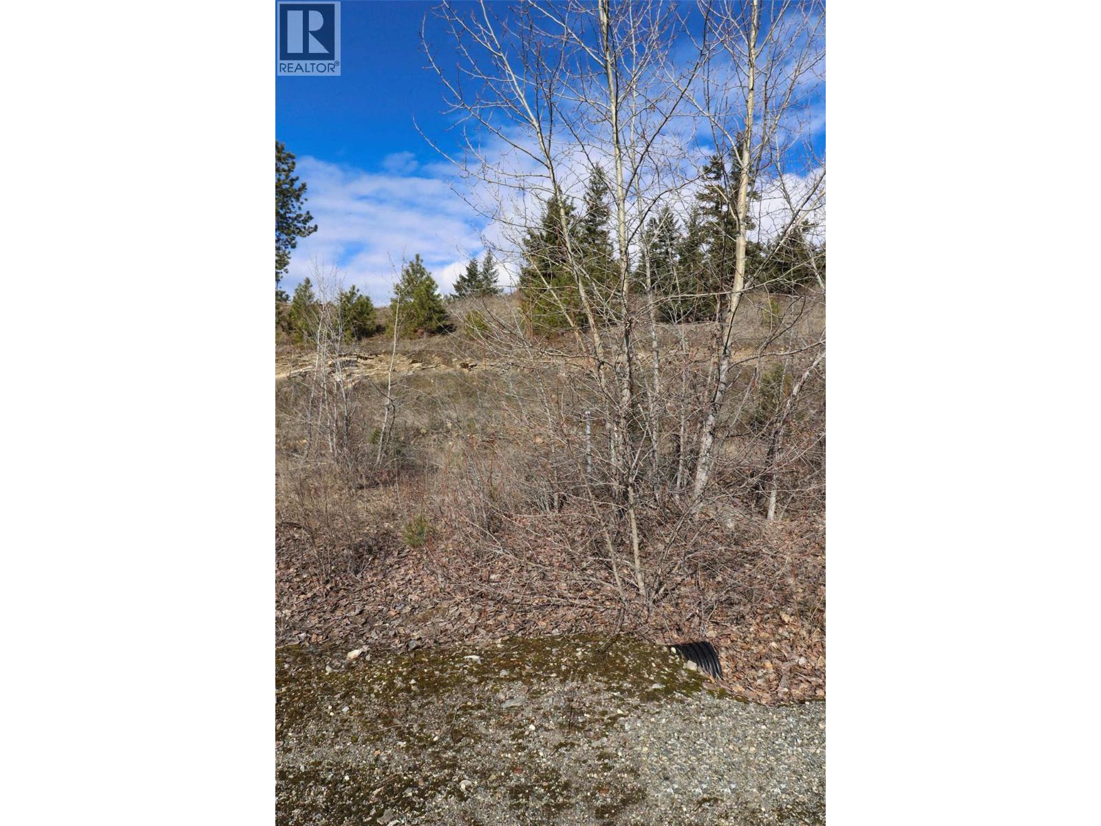 2633 Squilax Anglemont Road Unit# 147, Lee Creek, British Columbia  V0E 1M4 - Photo 10 - 10376986